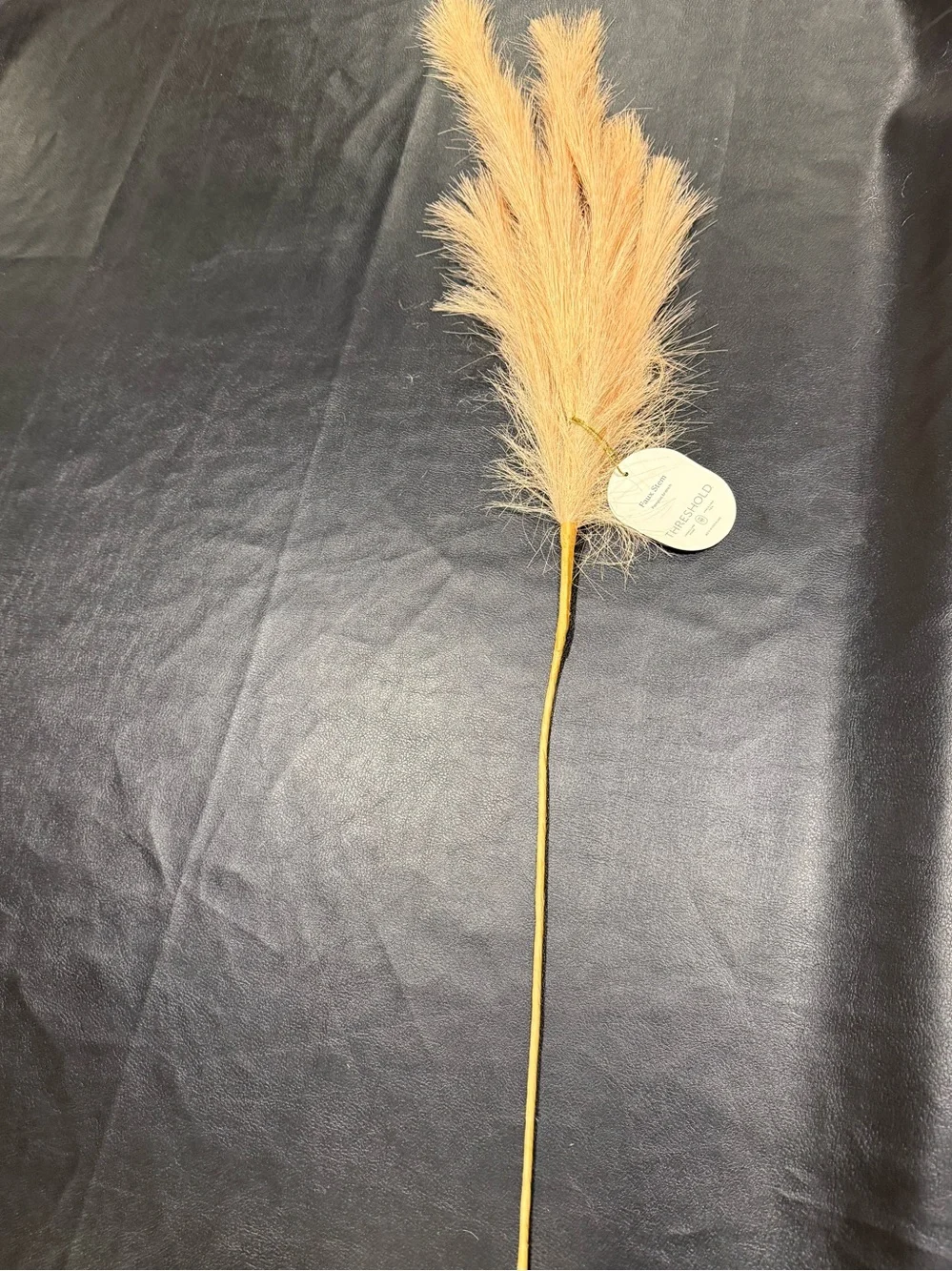 Threshold Beige Pampas Stem - Soft Decorative Accent NWT